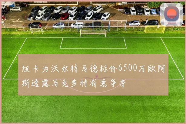 纽卡为沃尔特马德标价6500万欧阿斯透露马竞多特有意争夺